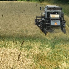 Appalachian 7.4.26 back of combine | Weatherbury Farm Grain Tracker 2026