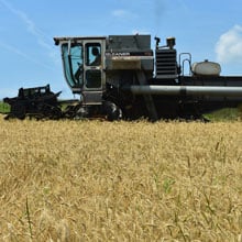 Appalachian 7.4.26 combinig | Weatherbury Farm Grain Tracker 2026 Appalachian 7.4.26 combinig | Weatherbury Farm Grain Tracker 2026
