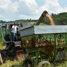 Appalachian 7.4.26 grain into wagon | Weatherbury Farm Grain Tracker 2026 Appalachian 7.4.26 grain into wagon | Weatherbury Farm Grain Tracker 2026