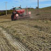 Danko Rye 10.26.25 Planting | Weatherbury Farm Grain Tracker