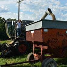 Danko Rye 7.13.26 Unloading into Wagon | Weatherbury Farm Grain Tracker