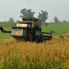 Gehl 7.14 Combine Rear | Weatherbury Farm Grain Tracker