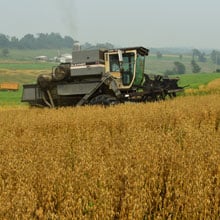 Gehl 7.14 Combine| Weatherbury Farm Grain Tracker