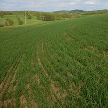 Gehl Oats 5.11.26 frost seeding | Weatherbury Fam Grain Tracker Gehl Oats 5.11.26 frost seeding | Weatherbury Fam Grain Tracker