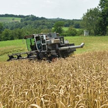RDB 7.14.26 Harvest Weatherbury Farm Grain Tracker RDB 7.14.26 Harvest Weatherbury Farm Grain Tracker